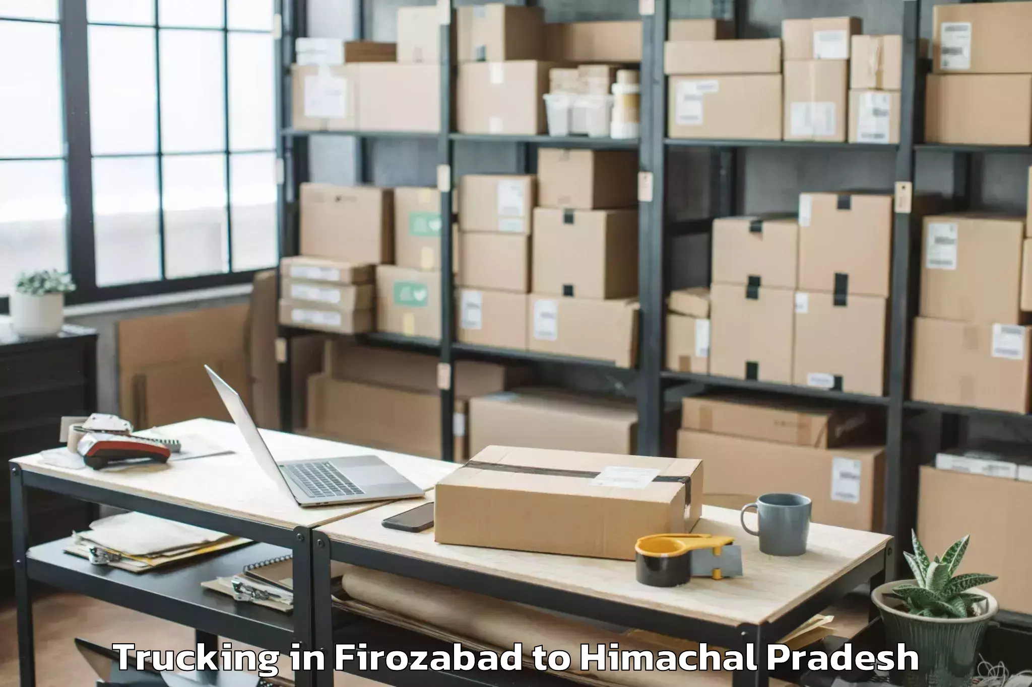 Reliable Firozabad to Icfai University Himachal Prad Trucking